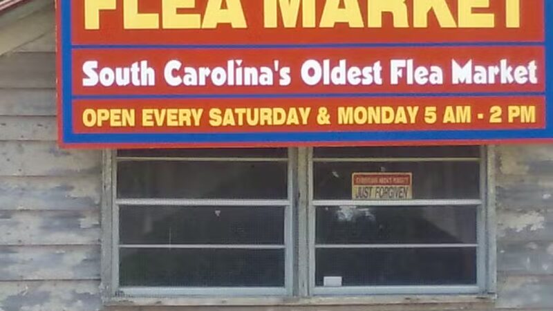 Springfield Flea Market - Springfield, SC