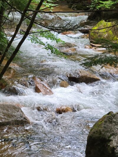 Muckross State Park - Springfield, VT