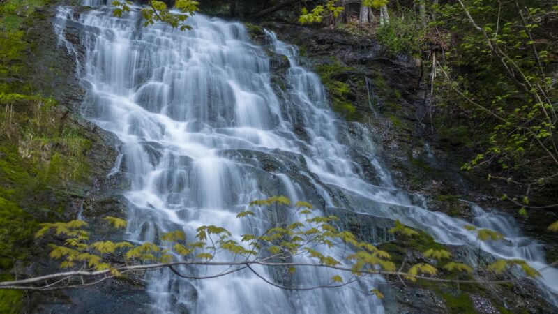 Muckross State Park - Springfield, VT