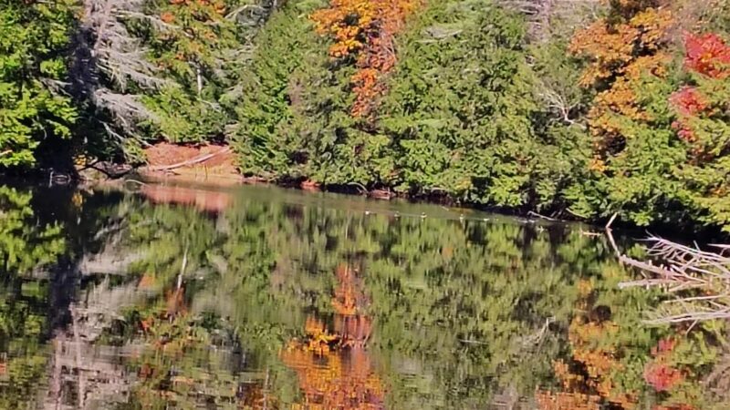 Muckross State Park - Springfield, VT
