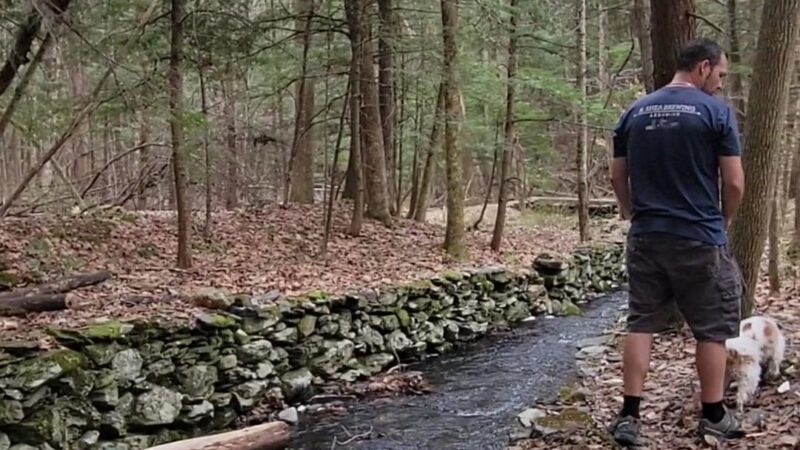 Muckross State Park - Springfield, VT