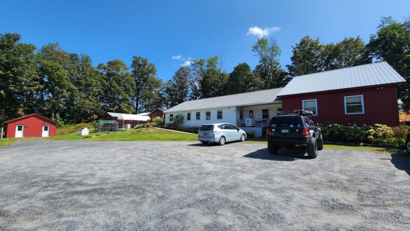 Springfield Humane Society - Springfield, VT