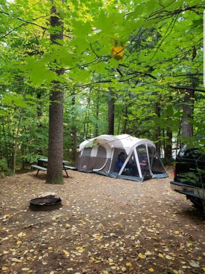 Tree Farm Campground - Springfield, VT