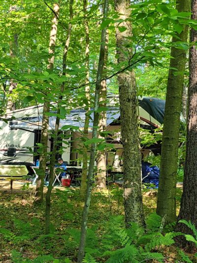 Tree Farm Campground - Springfield, VT
