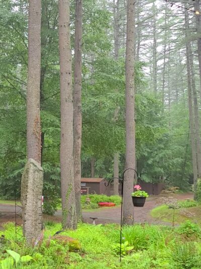 Tree Farm Campground - Springfield, VT