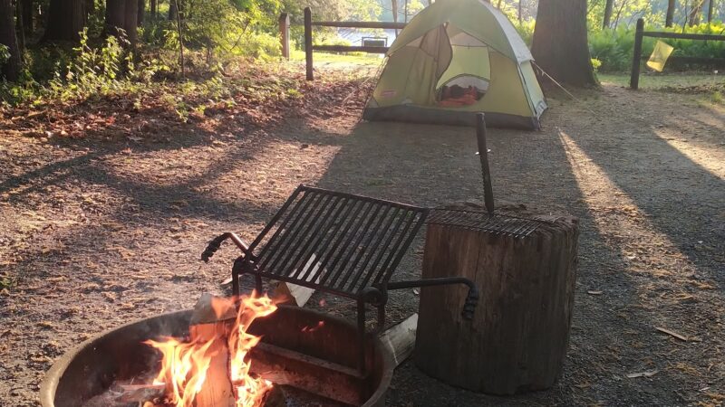 Wilgus State Park - Springfield, VT