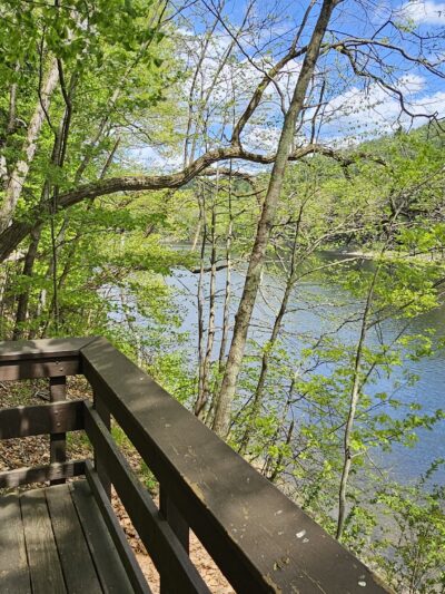 Wilgus State Park - Springfield, VT