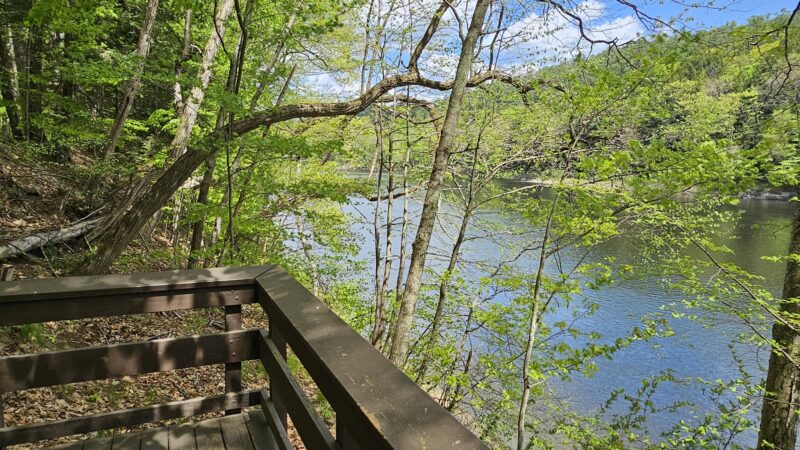 Wilgus State Park - Springfield, VT