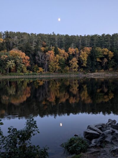 Wilgus State Park - Springfield, VT