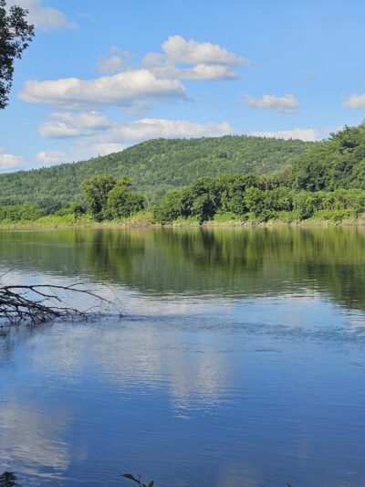Wilgus State Park - Springfield, VT