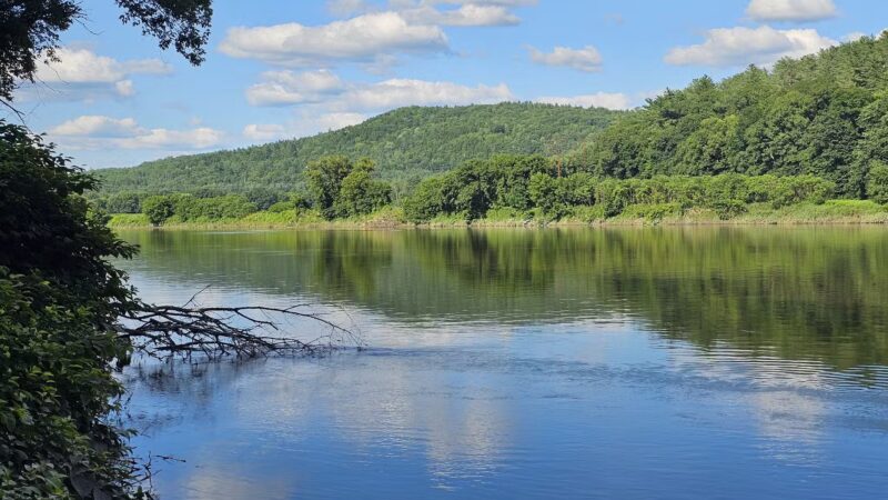 Wilgus State Park - Springfield, VT