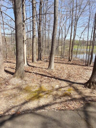 Huntsman Park - Springfield, VA