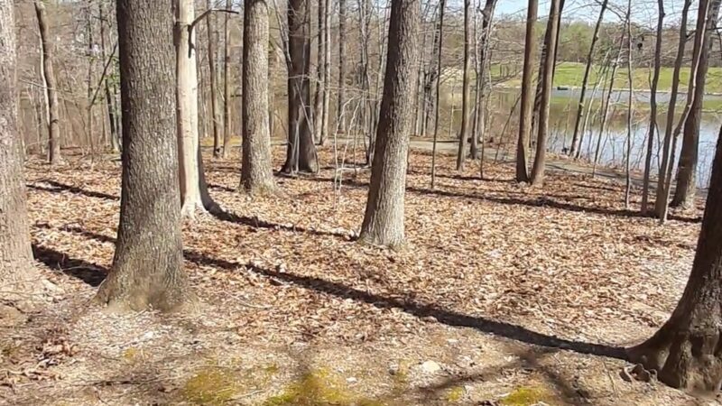 Huntsman Park - Springfield, VA