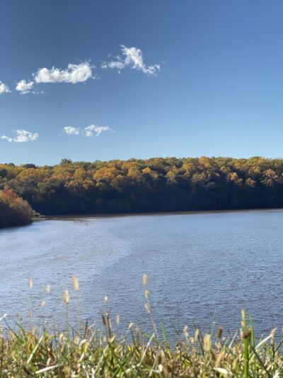 Huntsman Park - Springfield, VA