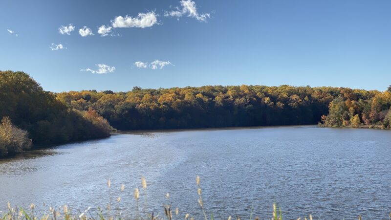 Huntsman Park - Springfield, VA