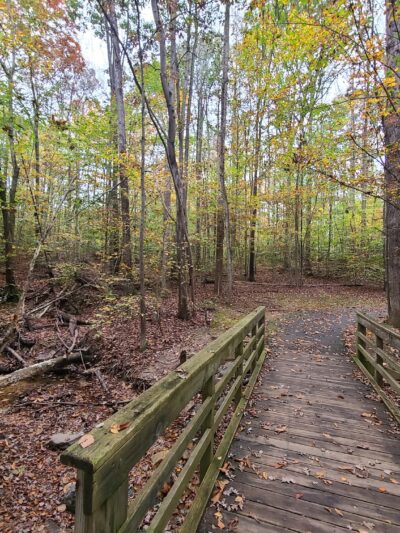 Huntsman Park - Springfield, VA