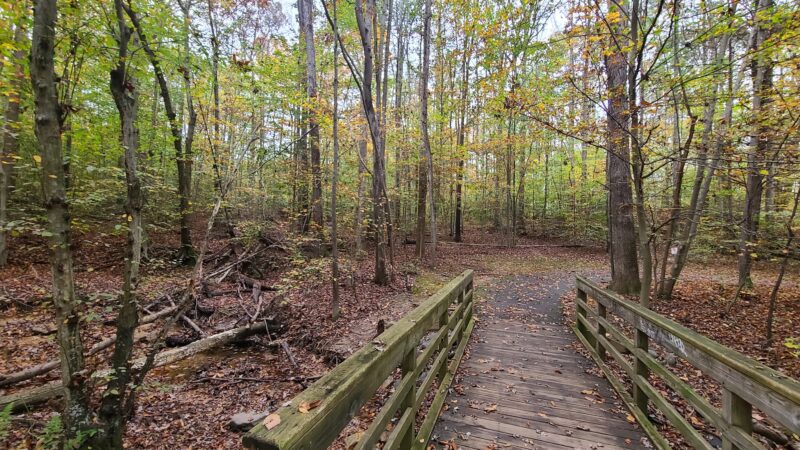 Huntsman Park - Springfield, VA
