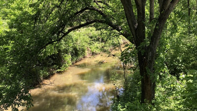 Springtown Park - Springtown, TX