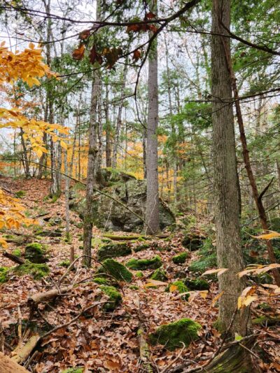 Mousam Way Trails Springvale Maine - Springvale, ME