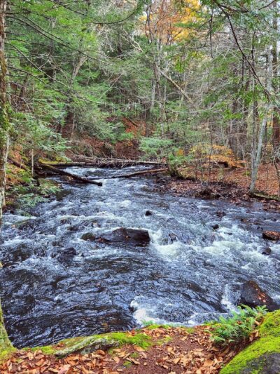 Mousam Way Trails Springvale Maine - Springvale, ME