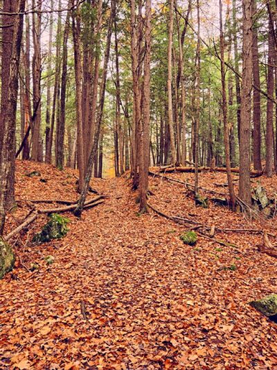 Mousam Way Trails Springvale Maine - Springvale, ME