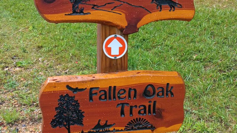 Big Canoe Creek Nature Preserve - Springville, AL