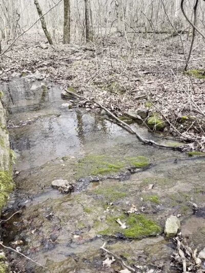 Big Canoe Creek Nature Preserve - Springville, AL