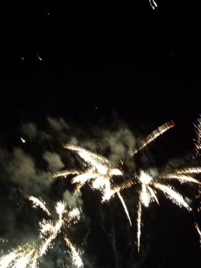 Concord Community Park - Springville, NY