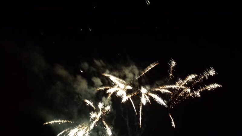 Concord Community Park - Springville, NY