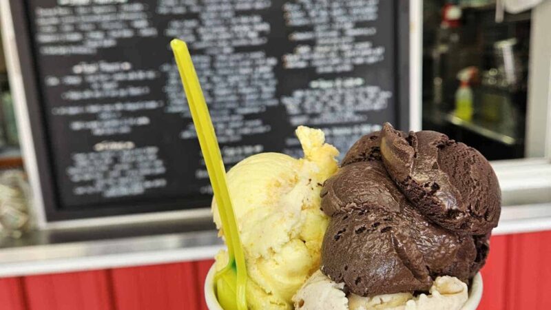 Springville Dairy - Springville, NY