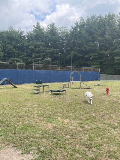 Spruce Pine Dog Park - Spruce Pine, NC