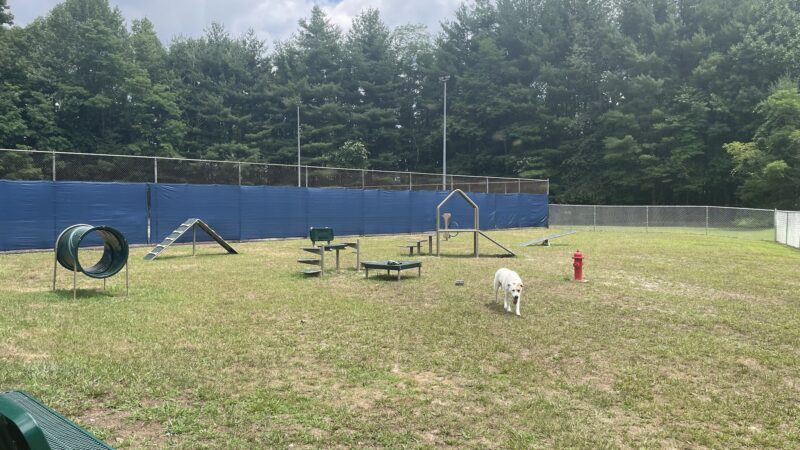 Spruce Pine Dog Park - Spruce Pine, NC