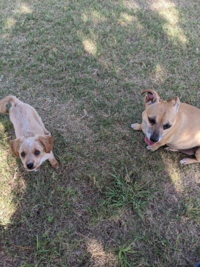 Swenson Park - Spur, TX