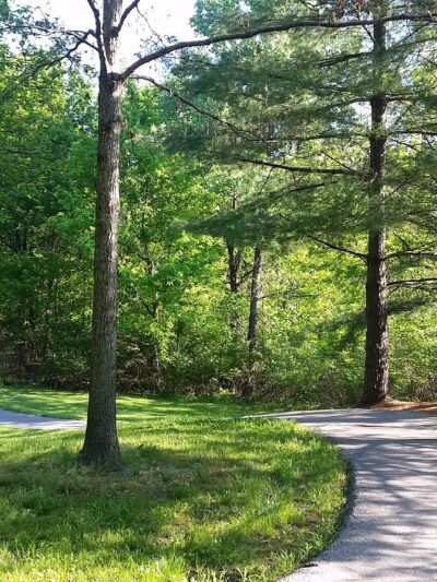 James McDonnell County Park - St Ann, MO