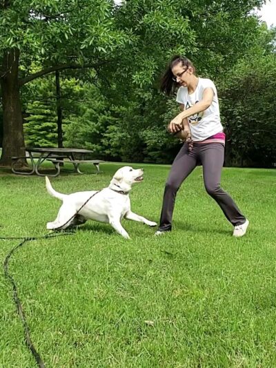 James McDonnell County Park - St Ann, MO