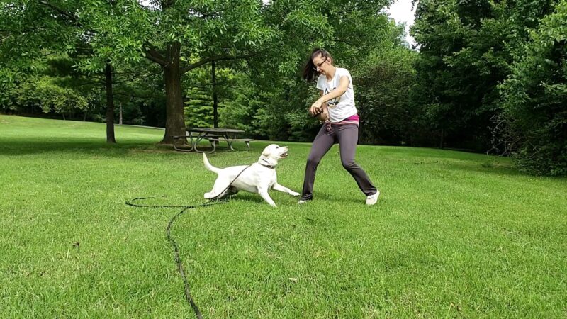 James McDonnell County Park - St Ann, MO