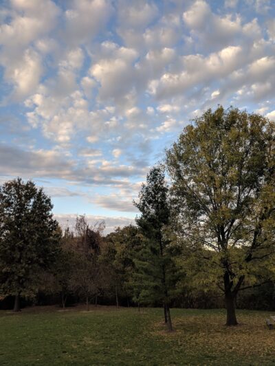 James McDonnell County Park - St Ann, MO