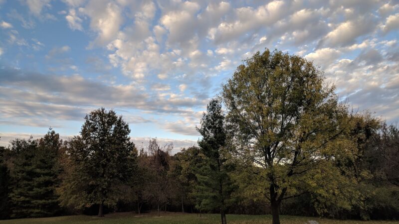 James McDonnell County Park - St Ann, MO