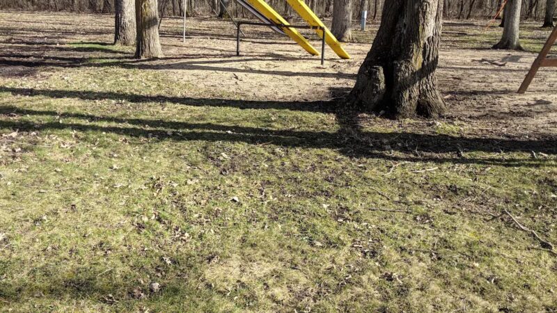 Cedar River Sportsman's Park - St Ansgar, IA