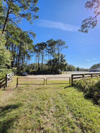 Twelve Mile Swamp Conservation Area - St. Augustine, FL