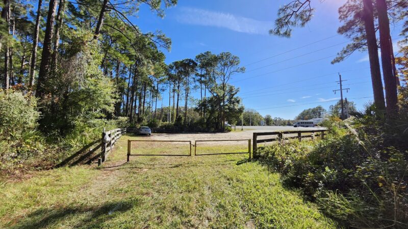 Twelve Mile Swamp Conservation Area - St. Augustine, FL