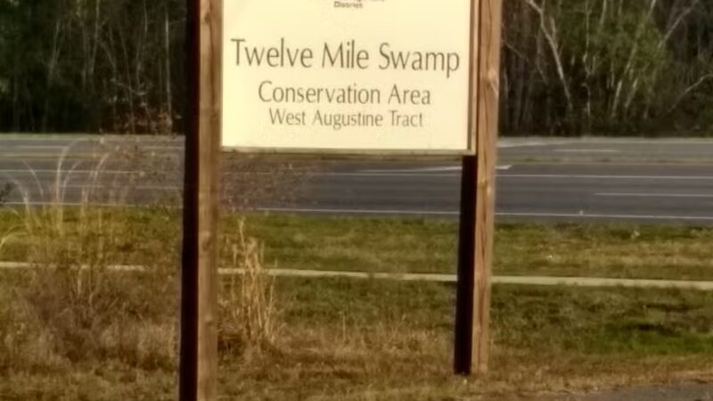 Twelve Mile Swamp Conservation Area - St. Augustine, FL