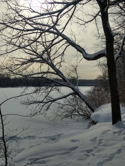 Fox River Bluff West Forest Preserve - St. Charles, IL