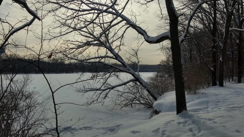 Fox River Bluff West Forest Preserve - St. Charles, IL
