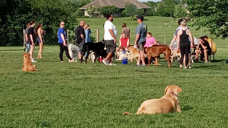 James O. Breen Community Dog Park - St. Charles, IL