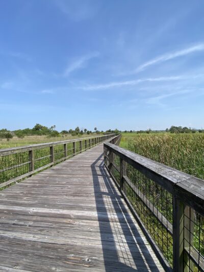 Cherokee Point Conservation Area - St Cloud, FL