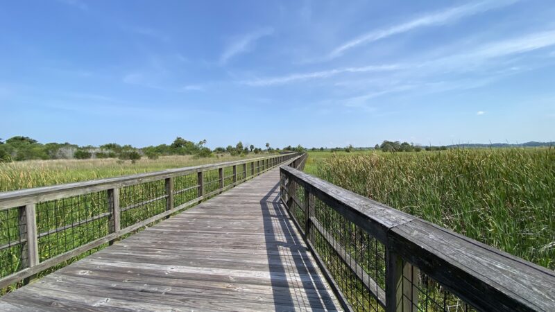 Cherokee Point Conservation Area - St Cloud, FL