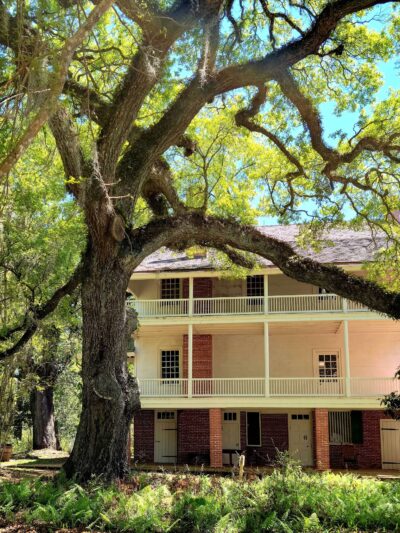 Audubon State Historic Site - St Francisville, LA
