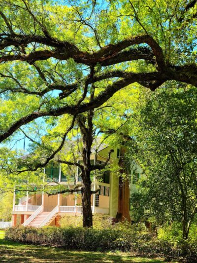 Audubon State Historic Site - St Francisville, LA