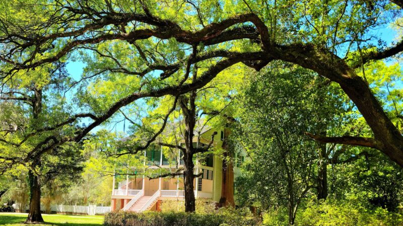 Audubon State Historic Site - St Francisville, LA